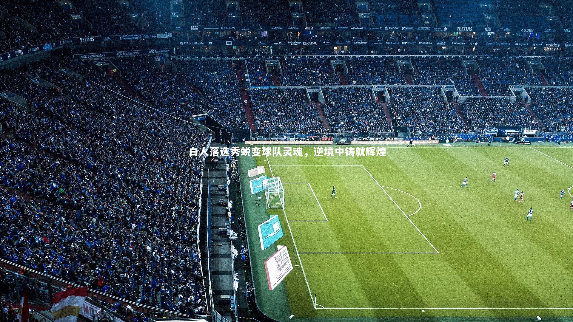 白人落选秀蜕变球队灵魂，逆境中铸就辉煌